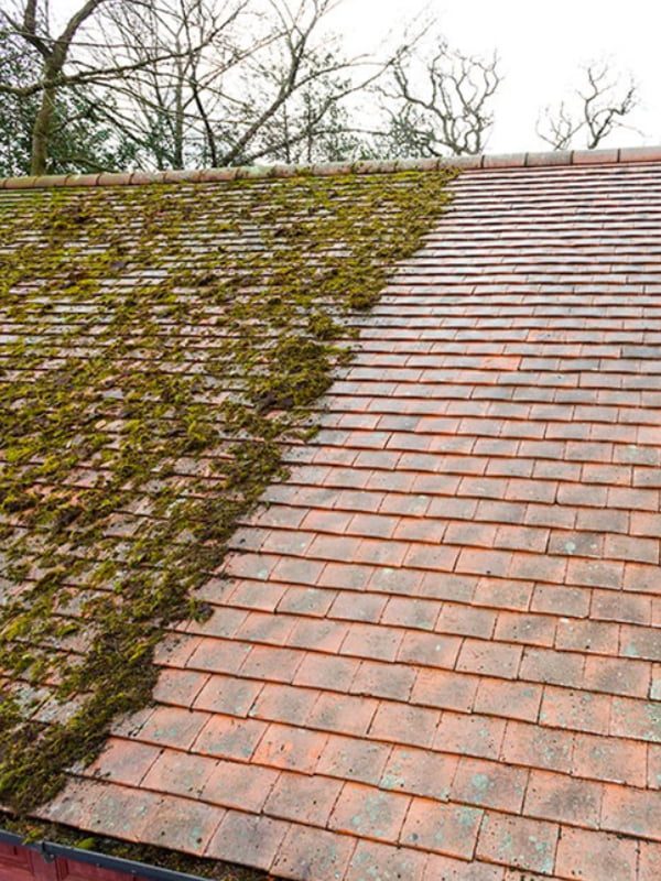 Roof and Gutter cleaning Tonbridge